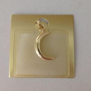 Aqua moon charm